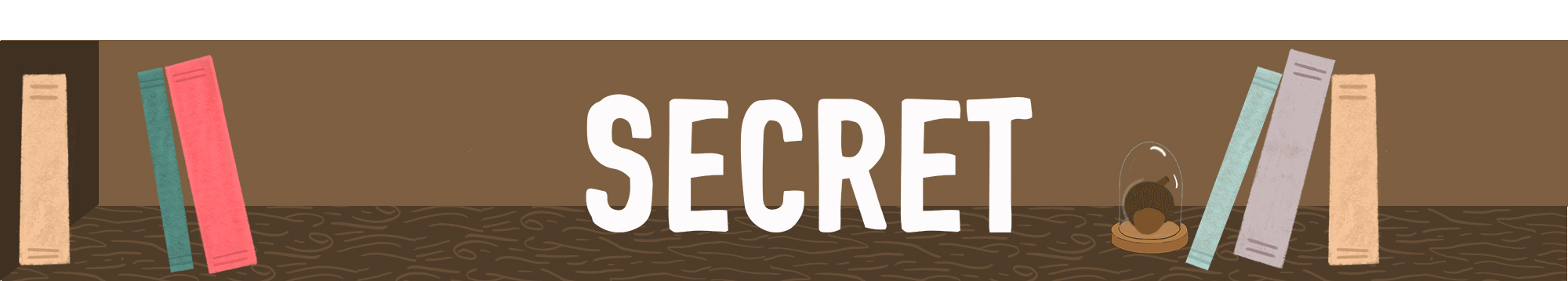 Secret Shelf