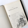 The School for Good and Evil - Image 2