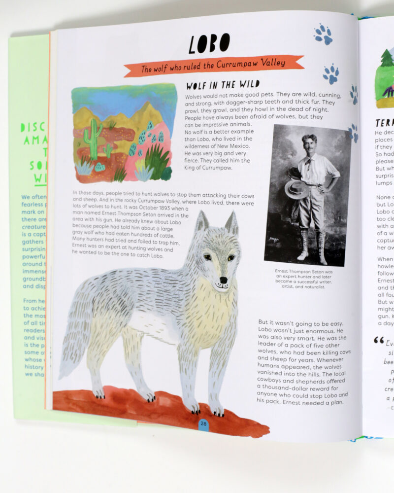 Wild Lives - Image 3