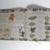 Natural History of Fairies - Image 2