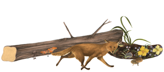 Books on Death and Bereavement for Children - Secret Society of Books
