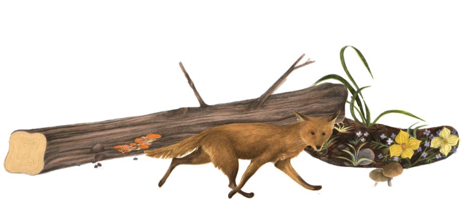 Books on Death and Bereavement for Children - Secret Society of Books